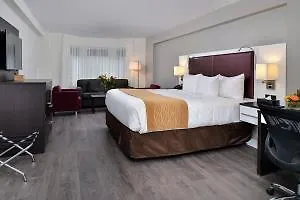 더 세인트 제임스 호텔, 언 어센드 호텔 컬렉션 멤버 토론토