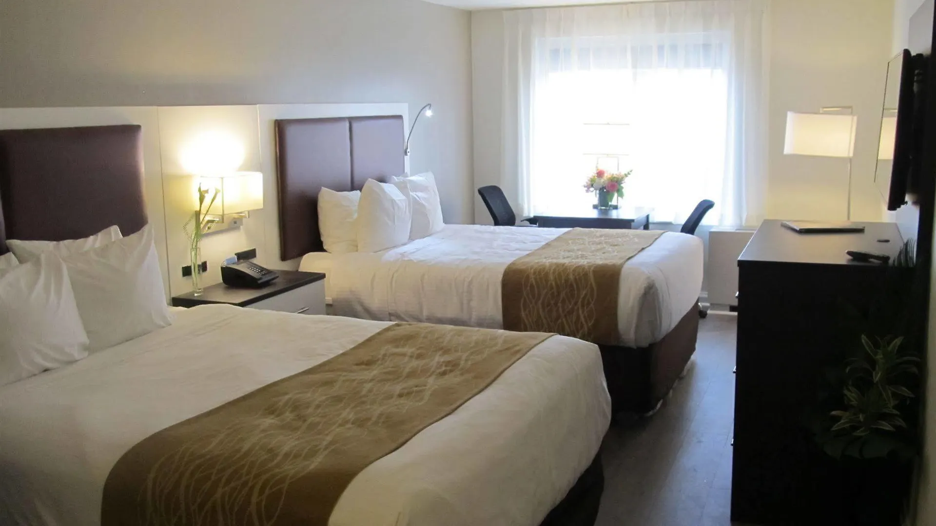 The Saint James Hotel, Ascend Hotel Collection Toronto 3*,