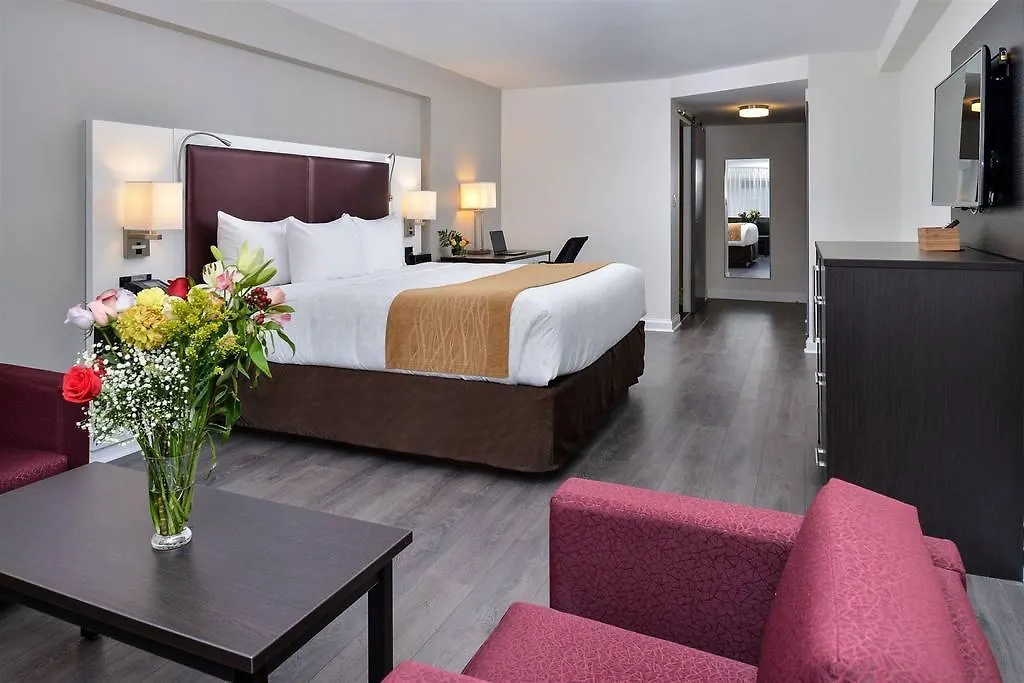 The Saint James Hotel, Ascend Hotel Collection Toronto