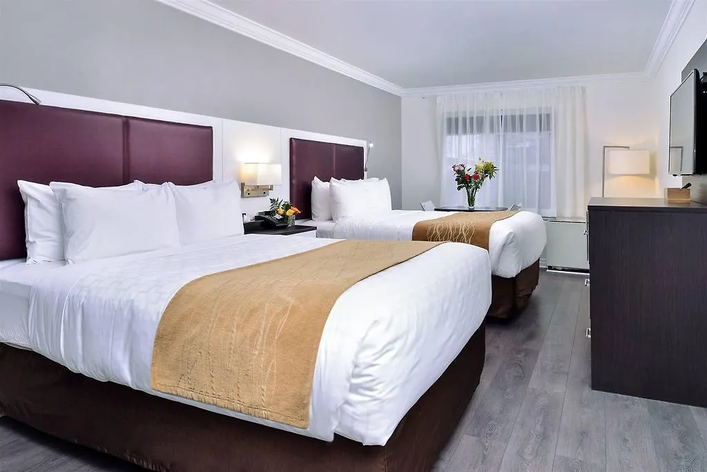 The Saint James Hotel, Ascend Hotel Collection Toronto